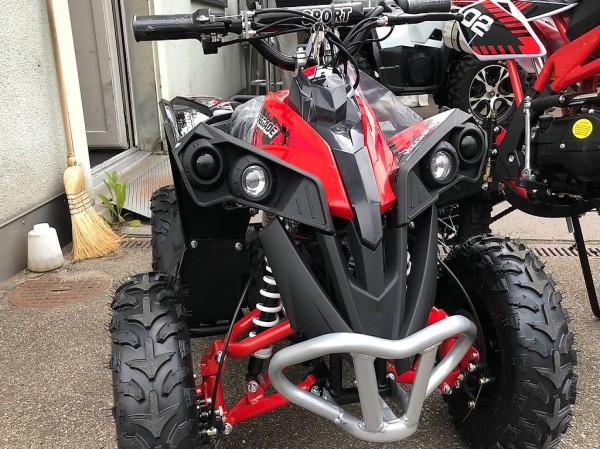  ATV Quad Renegade Brushless 1060W 36V nur noch 790.00 Fr