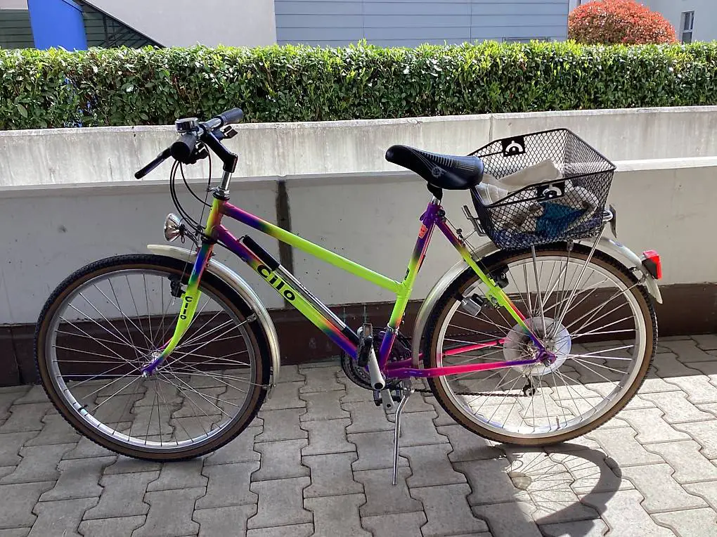 Cilo Damenfahrrad 40 Jährig