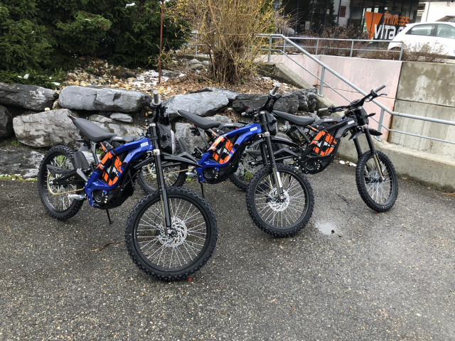 SURRON Firefly Light Bee