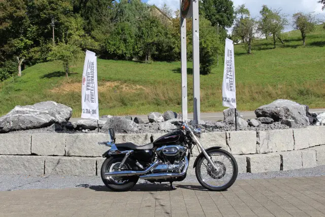 harley-davidson xl 1200 c sportster custom