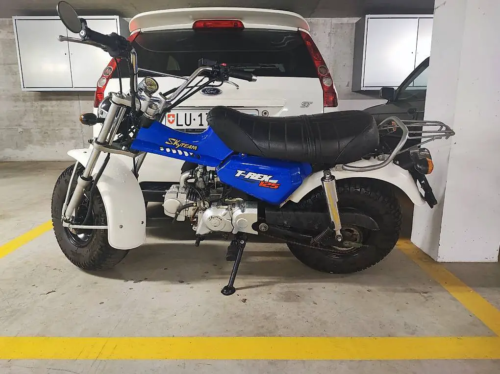 skyteam 125 trex
