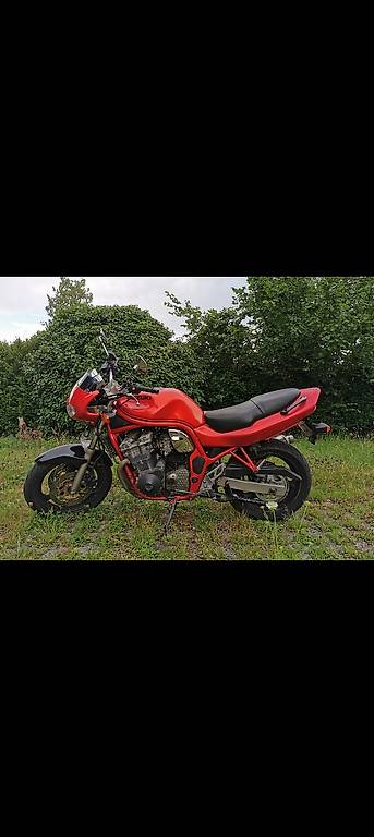 Suzuki GSF 600 Bandit zu verkaufen, Top Zustand