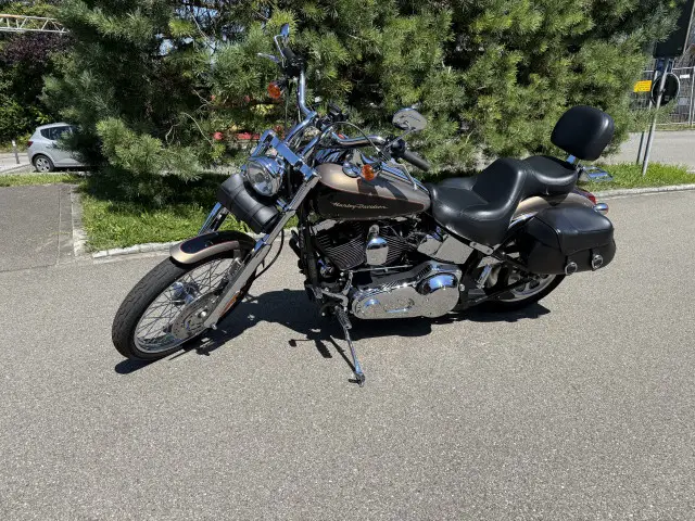 harley-davidson fxstdi 1450 softail deuce