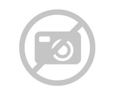 SIG-Sauer 1911 Texas Edition Gold Engraved .45 ACP