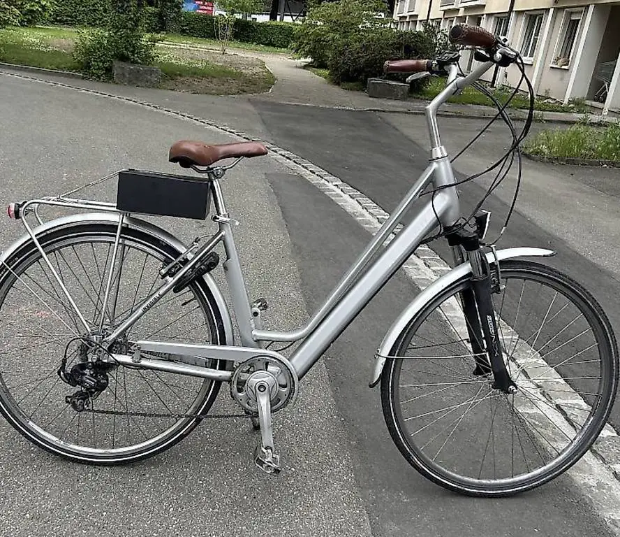 Allegro Damen E-Bike 28zoll 7gang 25kmh 53cm Rahmengrösse