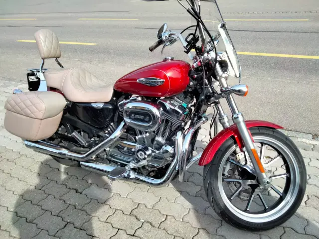 harley-davidson xl 1200 t sportster super low