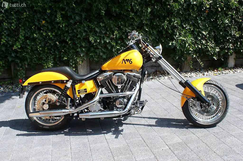 Harley Davidson AMS, Drag-Style
