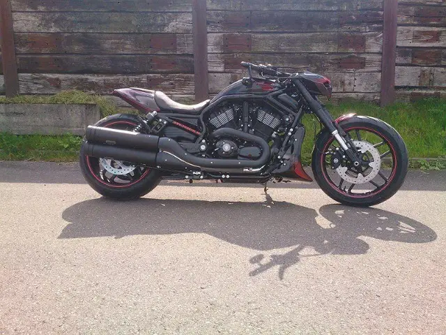 harley-davidson vrscdx 1250 v-rod night rod special