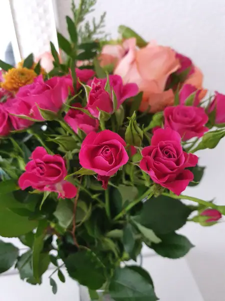Suche eine reife Frau für Sextreffen