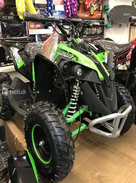  Elektro Midi-Quad 1060W 36 V Renegade Brushless