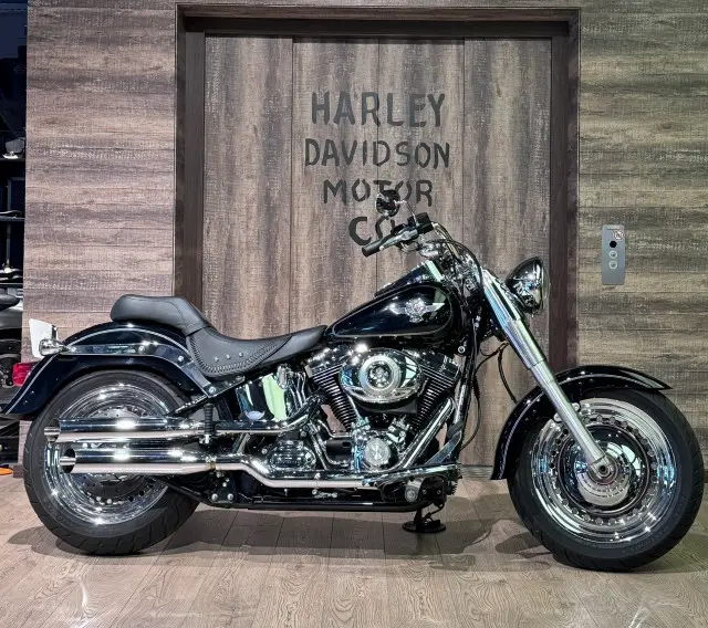 harley-davidson flstf 1584 softail fat boy