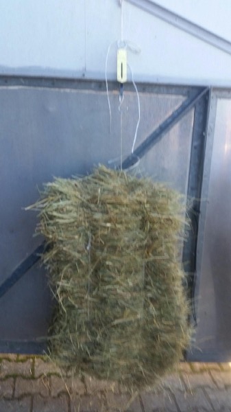 Heu in Quaderballen und Rundballen