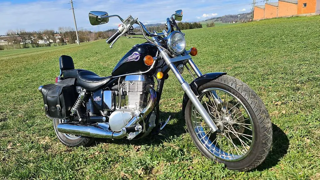 Suzuki LS 650 Savage