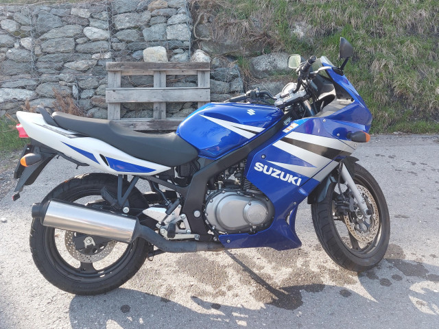 suzuki gs 500 f