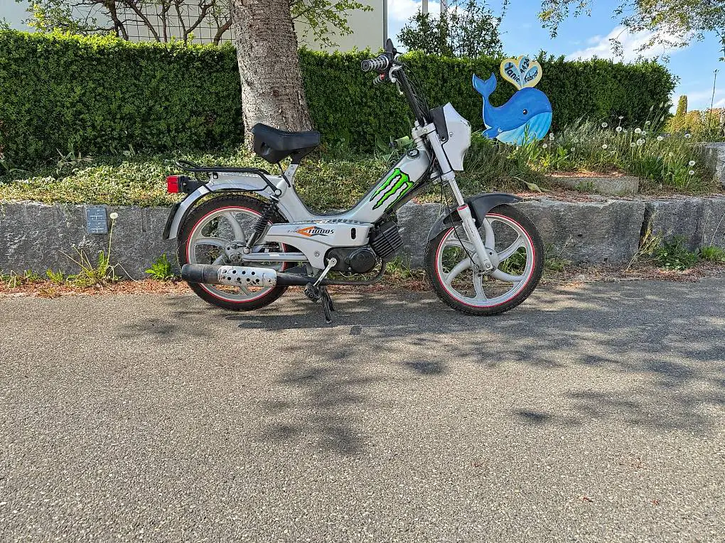 Tomos Quadro Mofa
