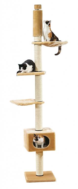 Fantastico tiragraffi . NUOVO.