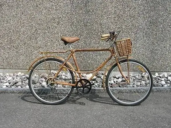 Bambus Fahrrad Velo Bambusvelo Holz Holzvelo DsReb