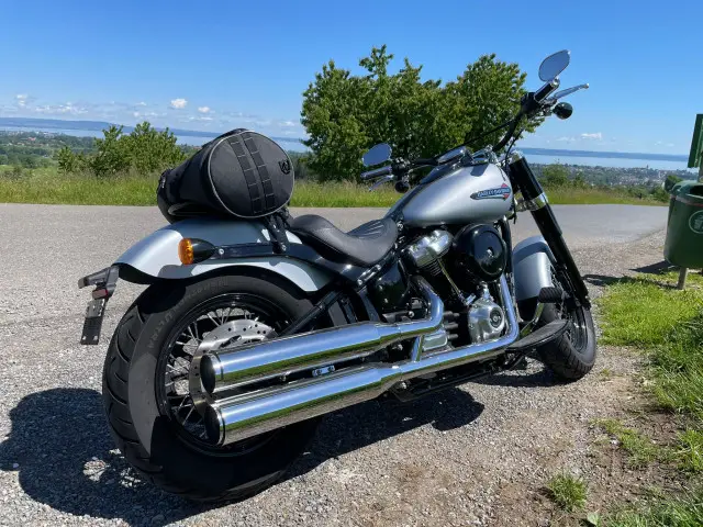 harley-davidson flsl 1745 softail slim 107