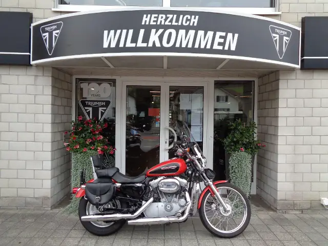 harley-davidson xl 883 c sportster custom