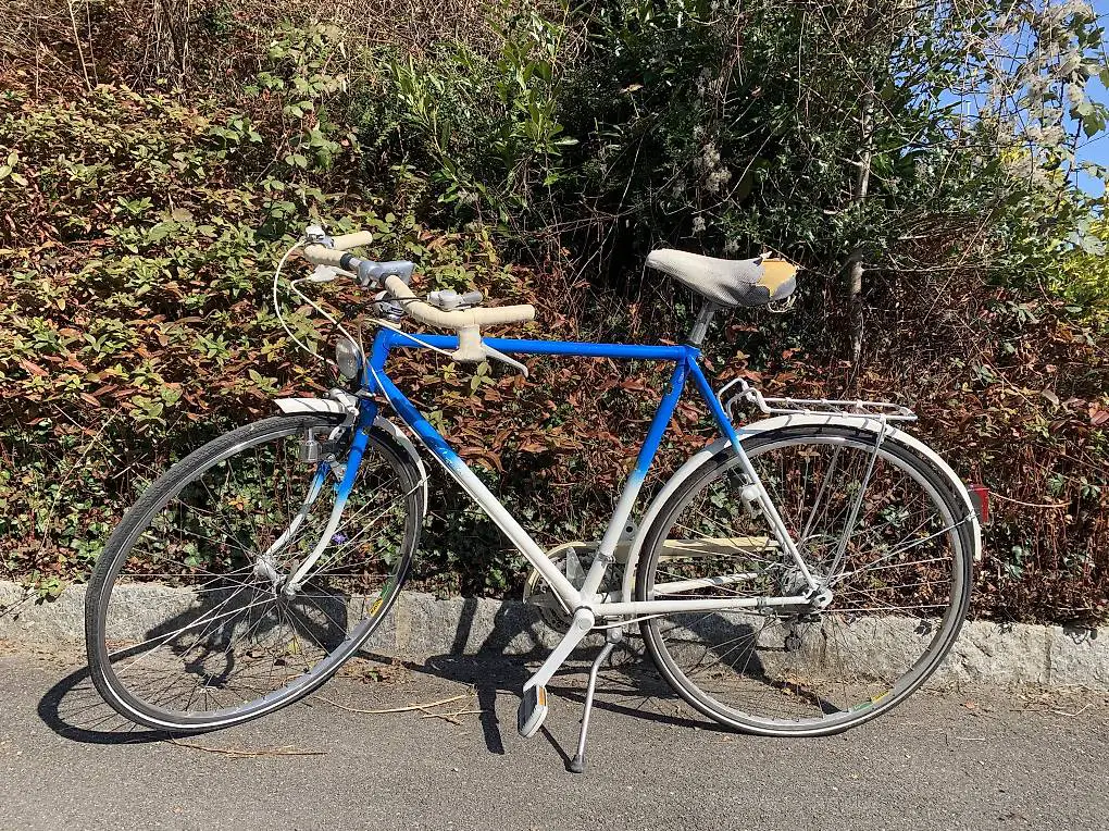 Allegro Vintage Herrenfahrrad